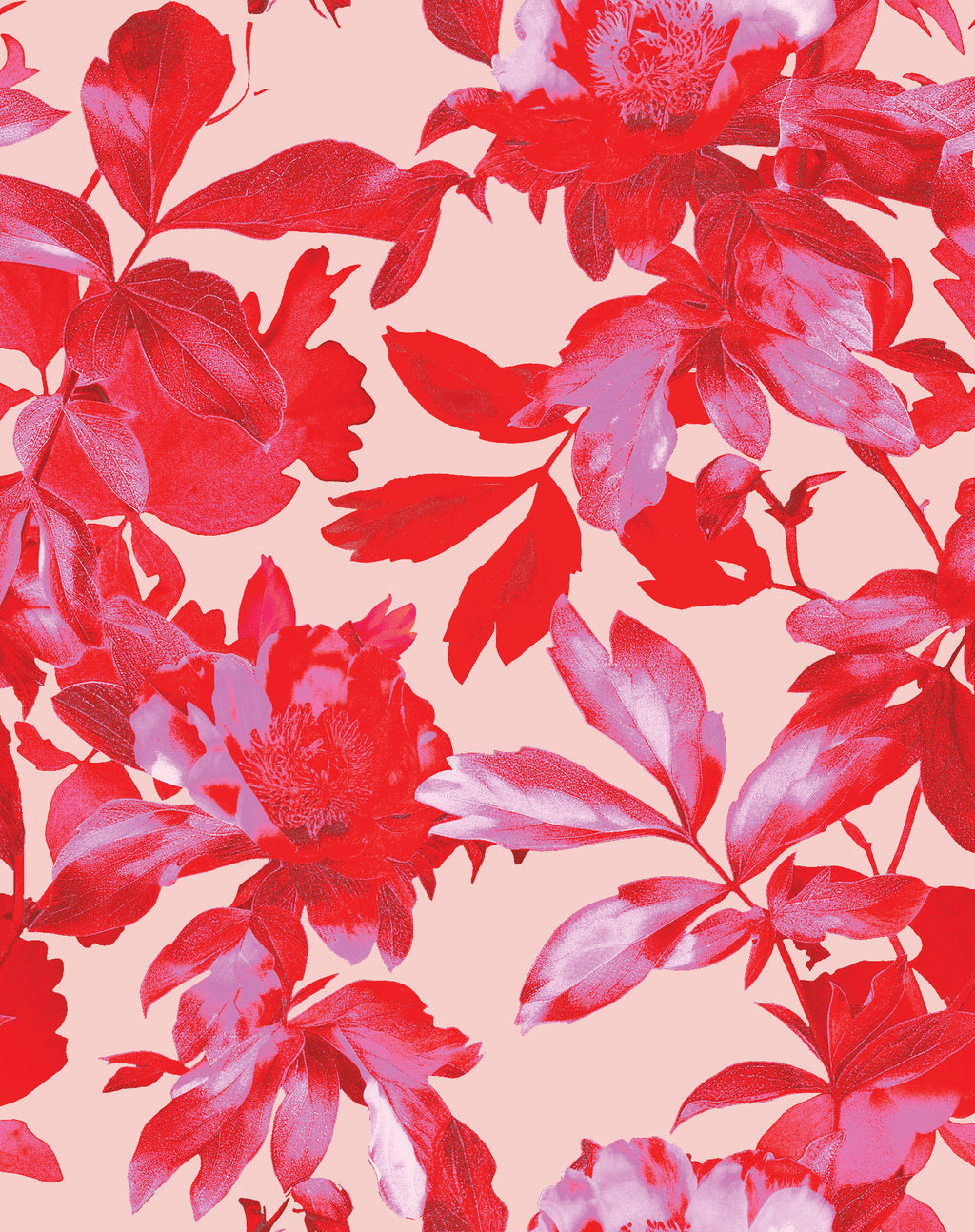 Be Right Back "Hibiscus Red"